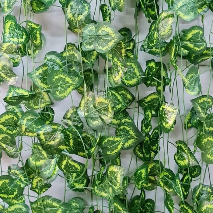 Hanging Ivy Vines