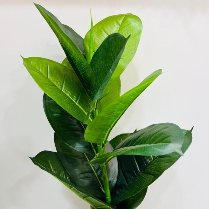 Realistic Tropical Leaf Plant