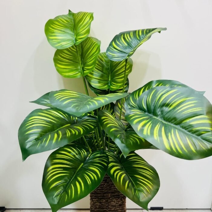 Striking Striped Tropical Plant