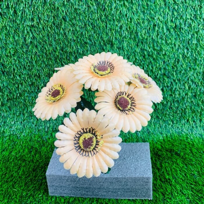 Creamy Peach Gerbera Daisy Flowers