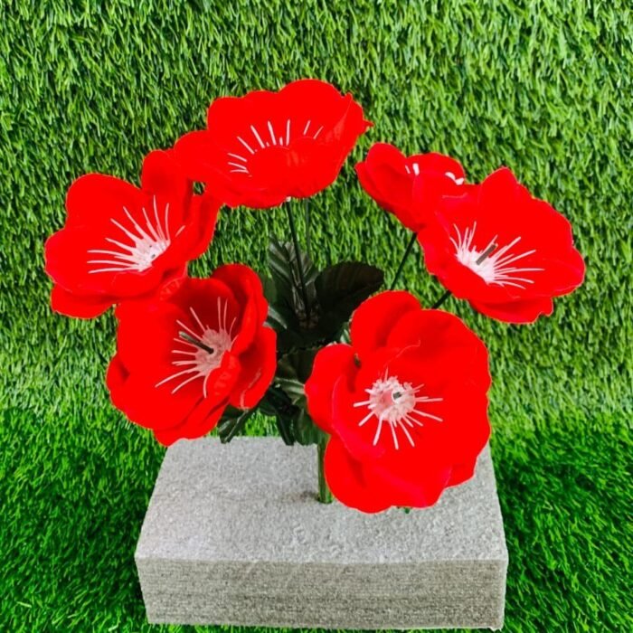 Dramatic Red & White Poppy Flowers
