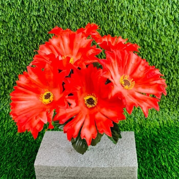 Fiery Red Echinacea Flowers