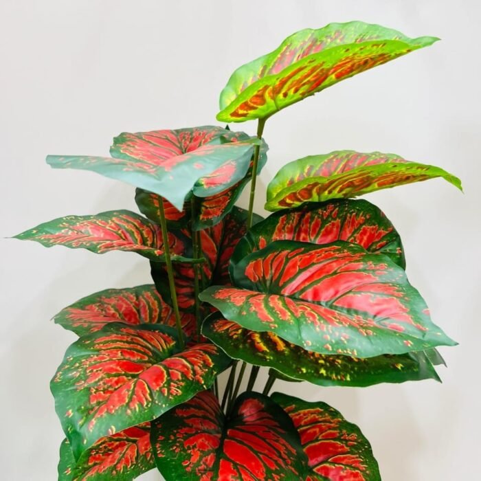 Artificial Caladium Plant – Red & Green Leaves