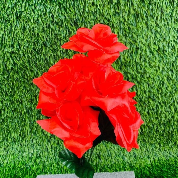 Velvet Red Compact Rose Bush