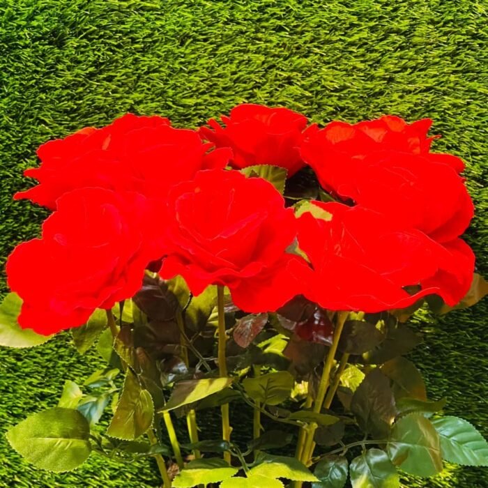 Velvet Red Rose - The Eternal Symbol of Love